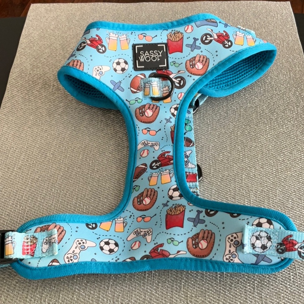 Sassy Woof Blue Sports-Themed Small Pet Harness